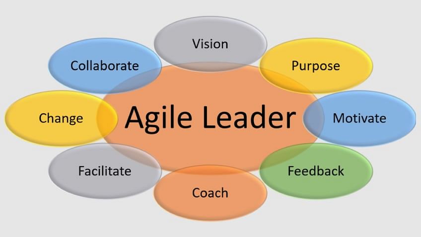 Agile Leader Career Path: Skills You Need to Succeed