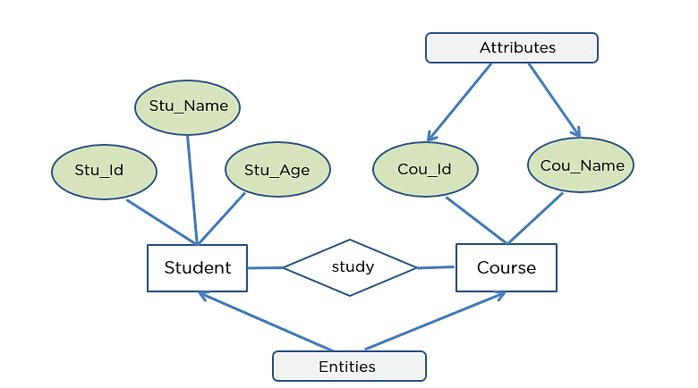 ER Diagrams in DBMS: Entity Relationship Diagram Model