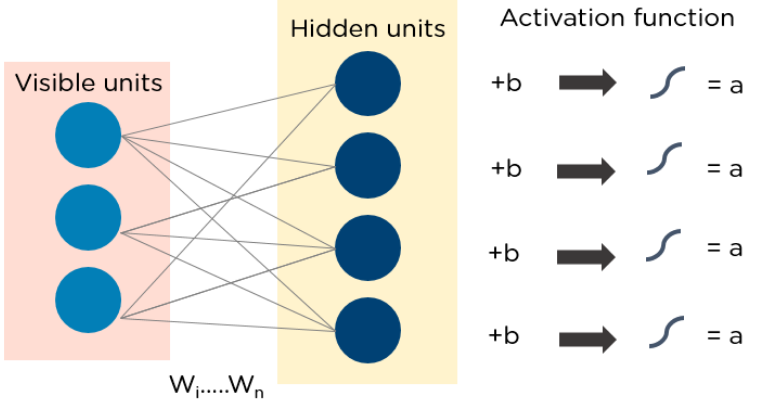 Top 10 Deep Learning Algorithms You Should Know in 2024