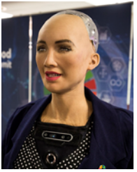 Types Of Artificial Intelligence Sophia
