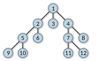 TCS_NQT_Interview_Questions_Tree