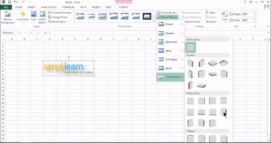 Create Charts and Objects in Excel 2013 Tutorial | Simplilearn