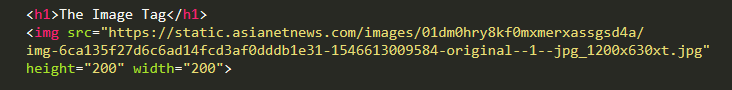 image tag in html with url