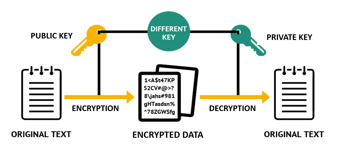 RSA Encryption in Python  Coding Tutorial 